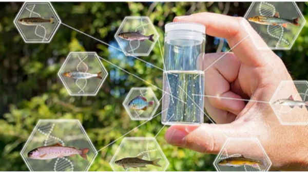 Biomonitoring of aquatic ecosystems using genetic methods – LifeWatch ERIC