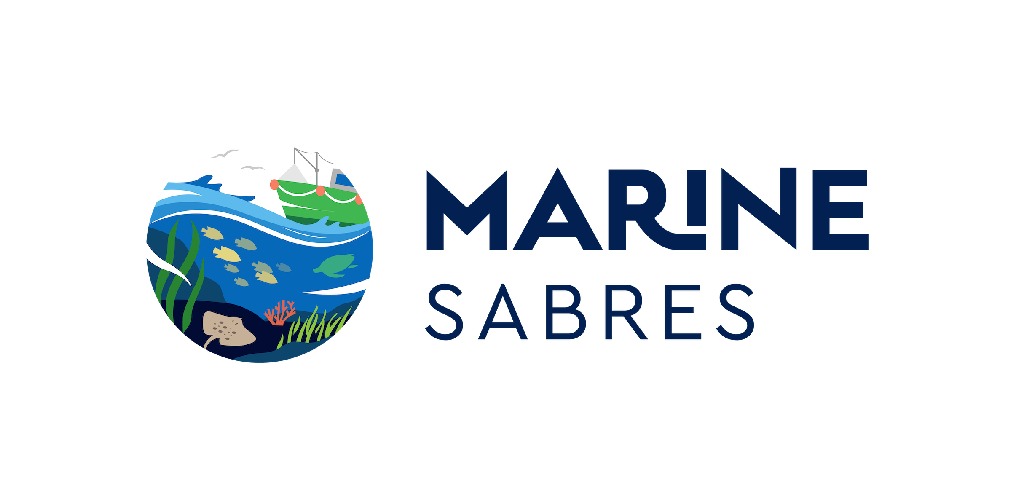 Marine SABRES launches the Serious Game School Competition